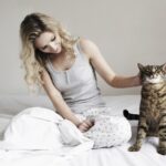 10 Proven Cat Training Techniques to Tame Your Feline