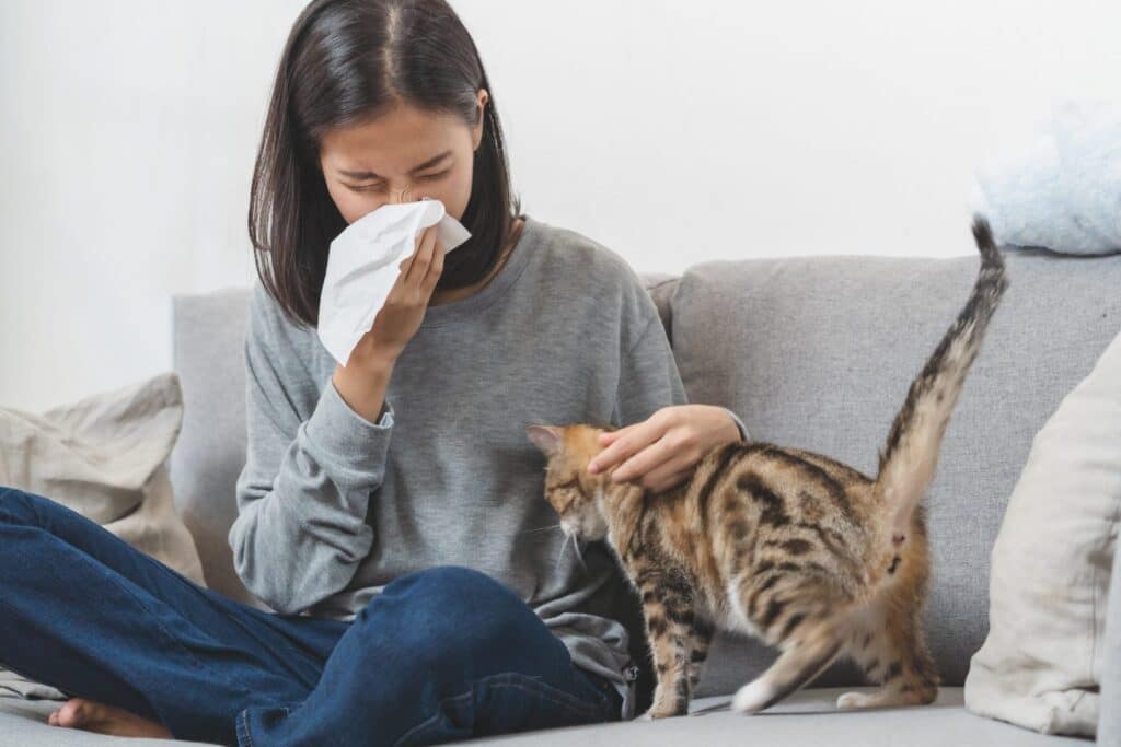 Tips For Reducing Allergens At Home For Cat Allergy Sufferers