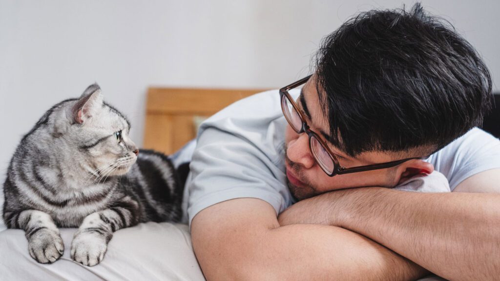 Understanding Symptoms of Cat Allergies